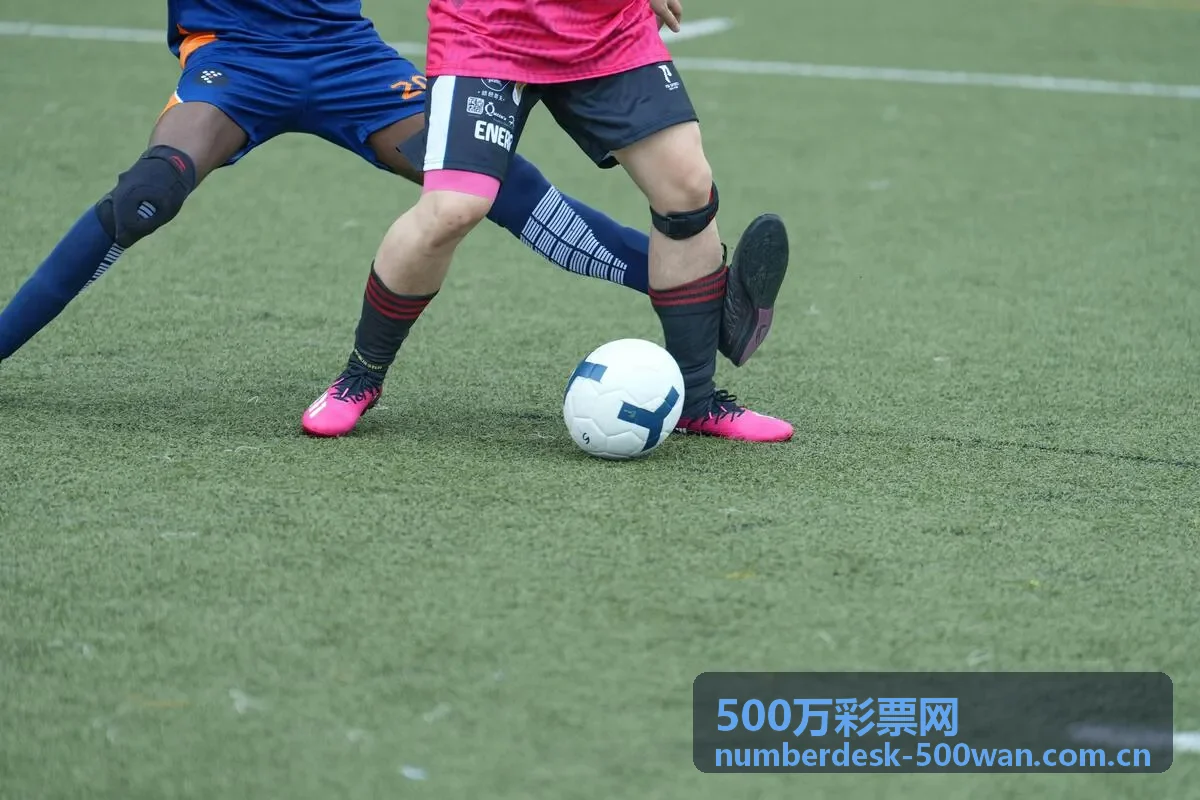 500万彩票网单式投注玩法对比